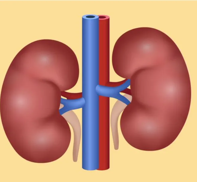 Dialysis services by NK Homecare in Nairobi, Kenya